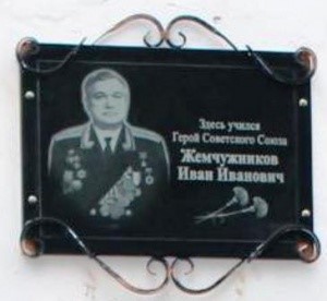 jemchujnikov1